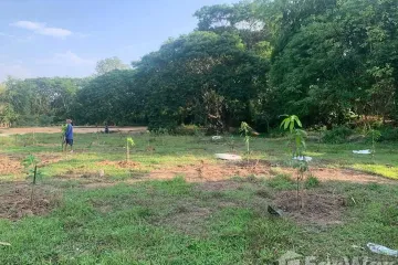 Land for sale in Bo Haeo, Lampang