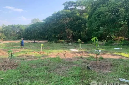 Land for sale in Bo Haeo, Lampang