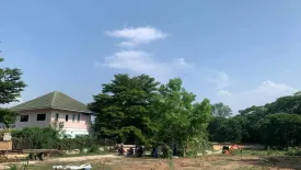 Land for sale in Bo Haeo, Lampang