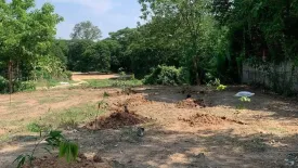 Land for sale in Bo Haeo, Lampang