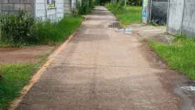 Land for sale in Na Saeng, Lampang