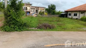 Land for sale in Na Saeng, Lampang