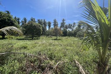 Land for sale in Ko Pha-ngan, Surat Thani