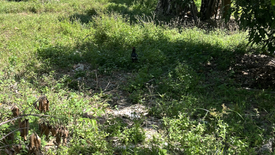 Land for sale in Ko Pha-ngan, Surat Thani