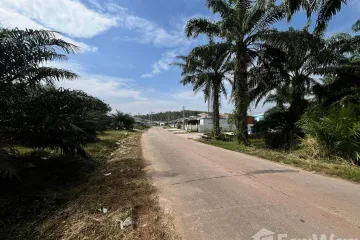 Land for sale in Krabi Noi, Krabi