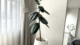 1 Bedroom Condo for rent in XT Huaikhwang, Din Daeng, Bangkok near MRT Huai Khwang