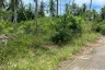 Land for sale in Na Mueang, Surat Thani