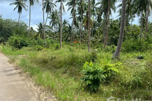 Land for sale in Na Mueang, Surat Thani