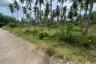 Land for sale in Na Mueang, Surat Thani