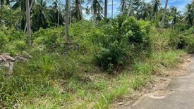 Land for sale in Taling Ngam, Surat Thani