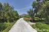 Land for sale in Ko Pha-ngan, Surat Thani