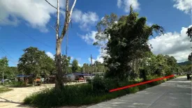 Land for sale in Ko Pha-ngan, Surat Thani