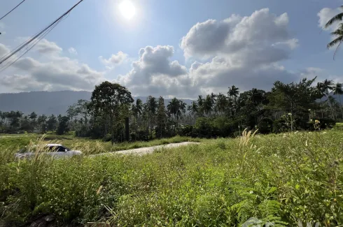 Land for sale in Maret, Surat Thani