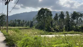 Land for sale in Maret, Surat Thani