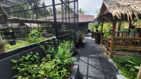 6 Bedroom Hotel / Resort for sale in Lipa Noi, Surat Thani