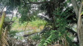 Land for sale in Bang Mot, Bangkok