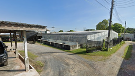 Land for sale in Rawai, Phuket