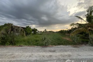 Land for sale in Sai Noi, Nonthaburi