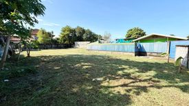 Land for sale in Nong Prue, Chonburi