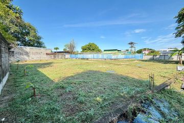 Land for sale in Nong Prue, Chonburi
