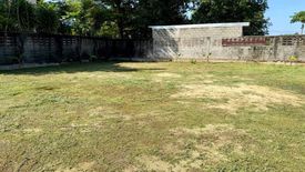 Land for sale in Nong Prue, Chonburi