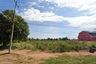 Land for sale in Na Klang, Nakhon Ratchasima