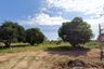 Land for sale in Na Klang, Nakhon Ratchasima