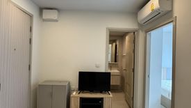 1 Bedroom Condo for rent in The Tree Sukhumvit 64, Bang Chak, Bangkok near BTS Punnawithi