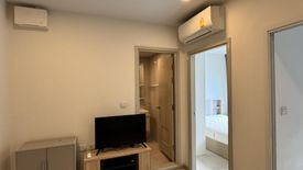 1 Bedroom Condo for rent in The Tree Sukhumvit 64, Bang Chak, Bangkok near BTS Punnawithi