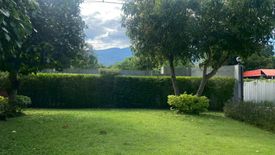 7 Bedroom House for sale in Chang Phueak, Chiang Mai