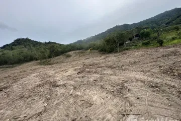 Land for sale in Mae Nam, Surat Thani