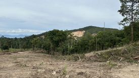 Land for sale in Mae Nam, Surat Thani