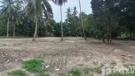 Land for sale in Mae Nam, Surat Thani