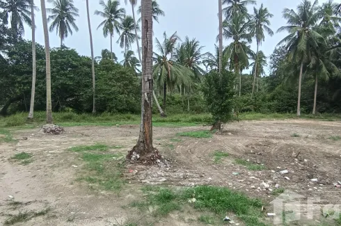 Land for sale in Mae Nam, Surat Thani