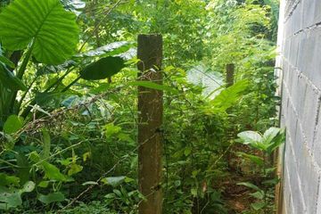 Land for sale in Pa Khlok, Phuket