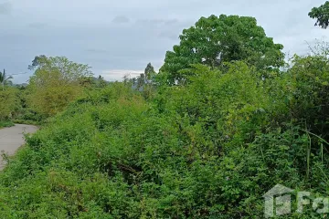 Land for sale in Mae Nam, Surat Thani