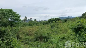 Land for sale in Mae Nam, Surat Thani