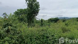 Land for sale in Mae Nam, Surat Thani