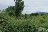 Land for sale in Mae Nam, Surat Thani