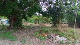 Land for sale in Mae Nam, Surat Thani