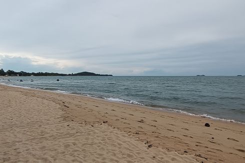 Land for sale in Mae Nam, Surat Thani