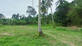 Land for sale in Mae Nam, Surat Thani
