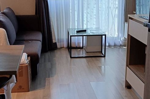 1 Bedroom Condo for rent in Sign Condo Sukhumvit 50, Phra Khanong, Bangkok near BTS On Nut