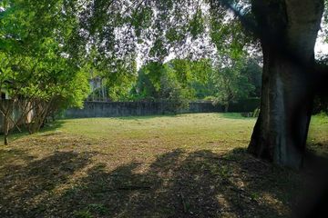 Land for sale in Nong Chom, Chiang Mai