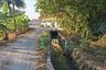 Land for sale in Thung Satok, Chiang Mai