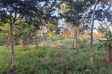 Land for sale in Thung Satok, Chiang Mai