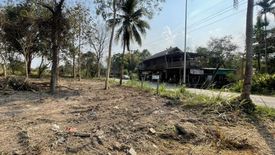 Land for sale in Mae Raem, Chiang Mai