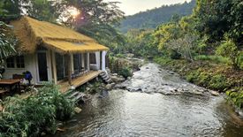 20 Bedroom Hotel / Resort for rent in Huai Kaeo, Chiang Mai