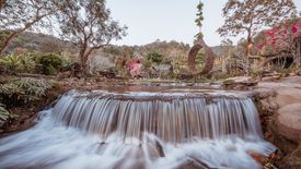 20 Bedroom Hotel / Resort for rent in Huai Kaeo, Chiang Mai