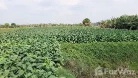 Land for sale in Chumphon, Nong Khai